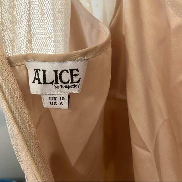 Alice By Temperley Nude Embellished Embroidery Dress - Picture 10 of 16